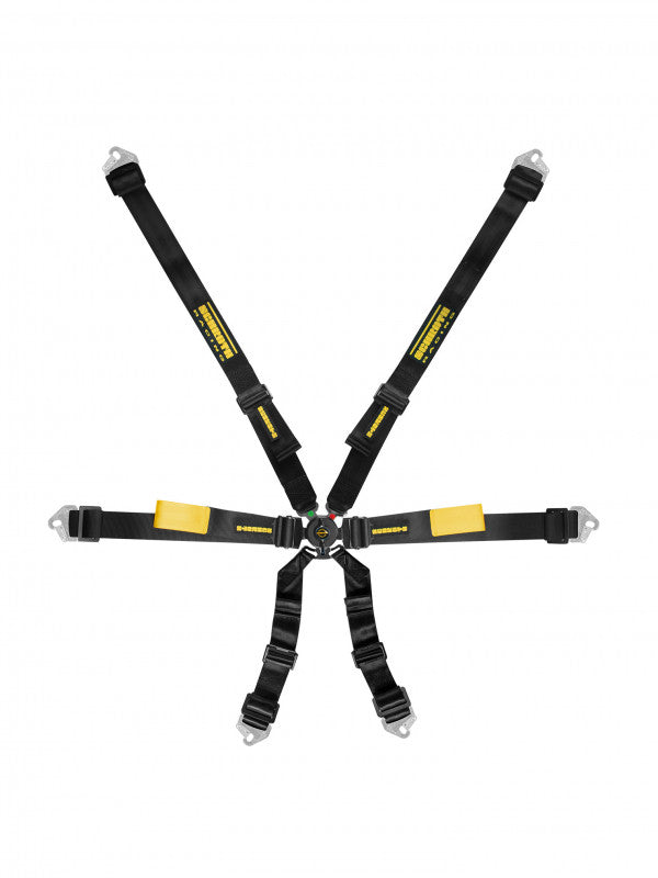 Schroth Enduro 2X2 FHR Specific