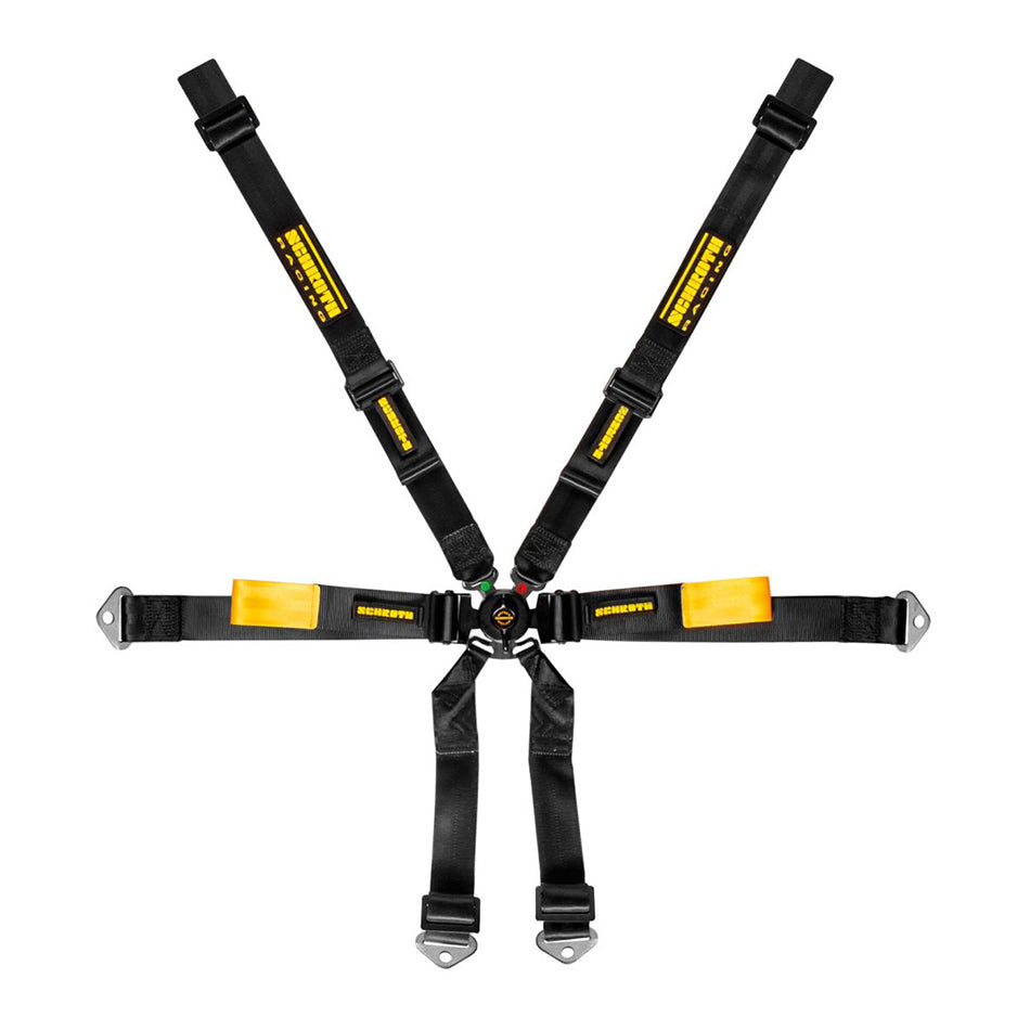 Schroth Enduro PORSCHE 991/981 2X2 FHR Specific